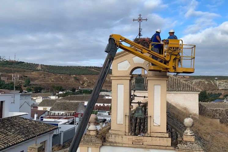 Retirada del nido.