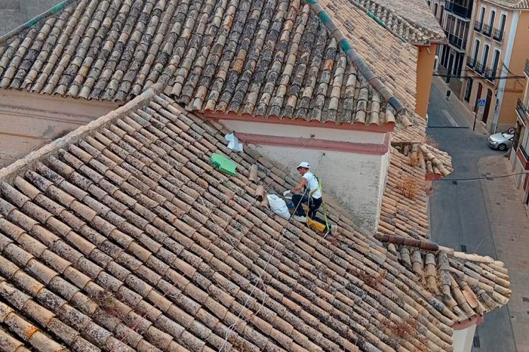 Trabajos en el tejado.