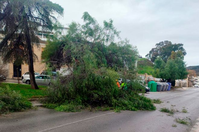 El temporal de viento y lluvia causa numerosas incidencias en Puente Genil