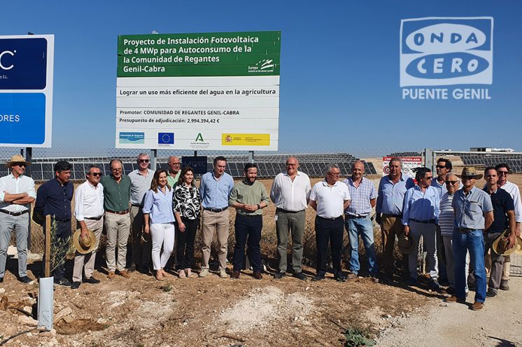 Imagen de la planta.