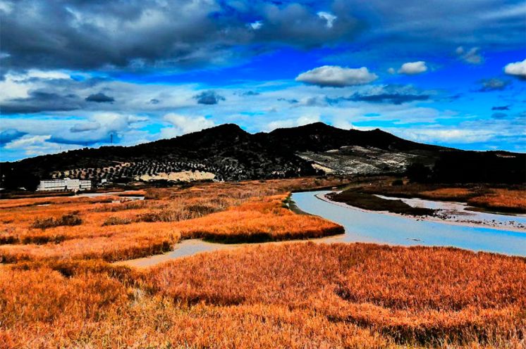 Embalse de Cordobilla. (Foto David Franco).