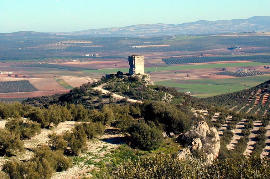 Castillo Anzur antes de la restauración de 2011.
