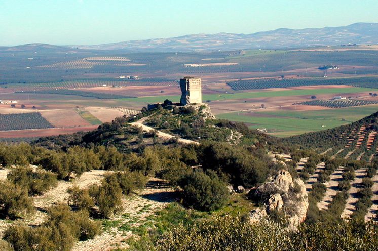 Castillo Anzur antes de la restauración de 2011.