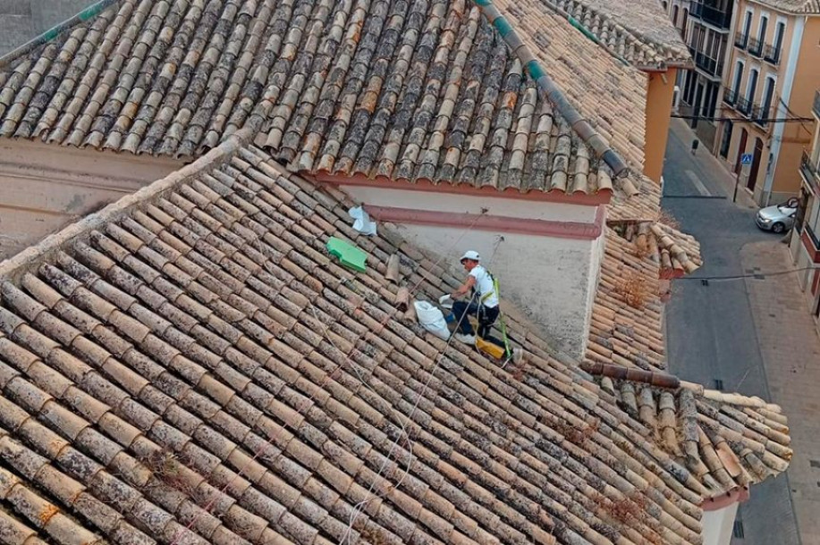 La Cofradía de la Purísima invierte cerca de 5.000 euros en importantes trabajos de conservación de los tejados del Santuario de la Patrona
