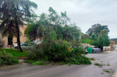 El temporal de viento y lluvia causa numerosas incidencias en Puente Genil
